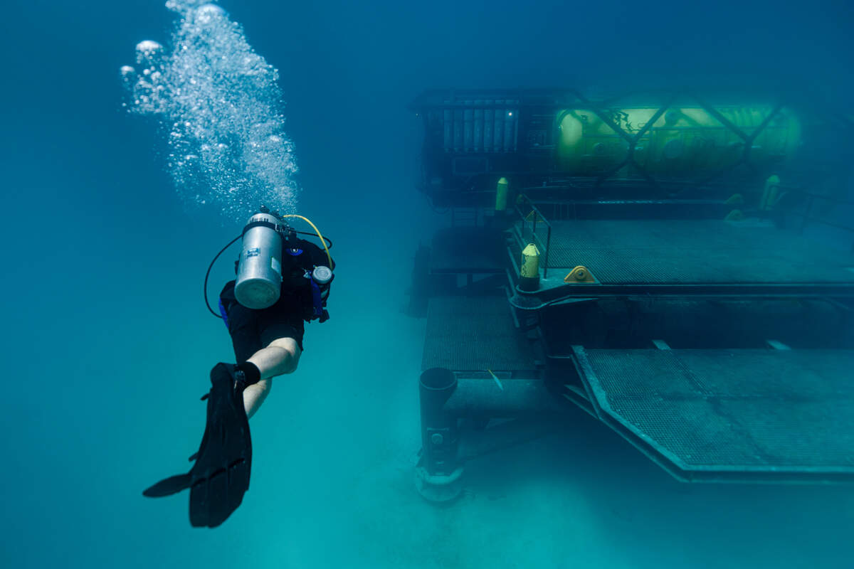 Roger Garcia, Director of Habitat Operations at DEEP, diving down to Vanguard.